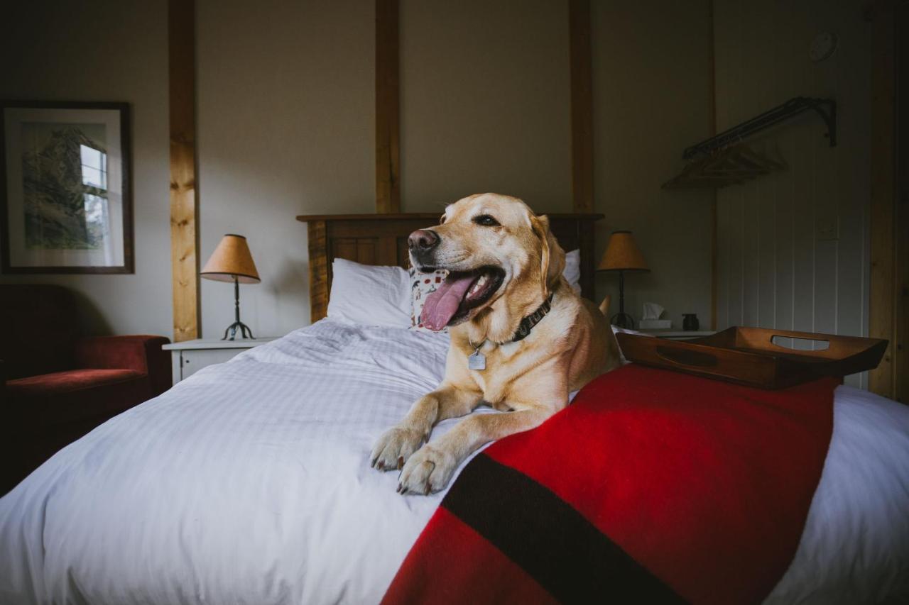 Mount Engadine Lodge Kananaskis Ngoại thất bức ảnh