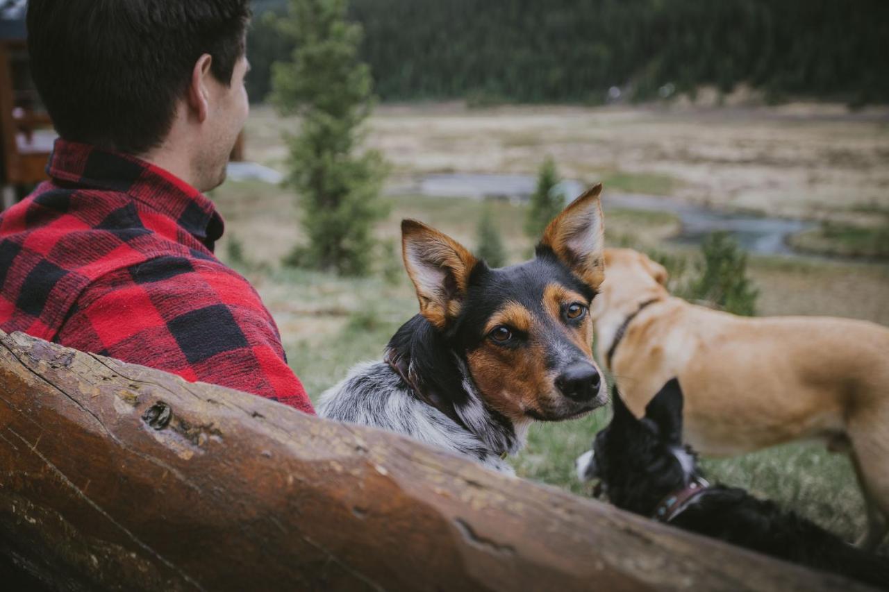 Mount Engadine Lodge Kananaskis Ngoại thất bức ảnh