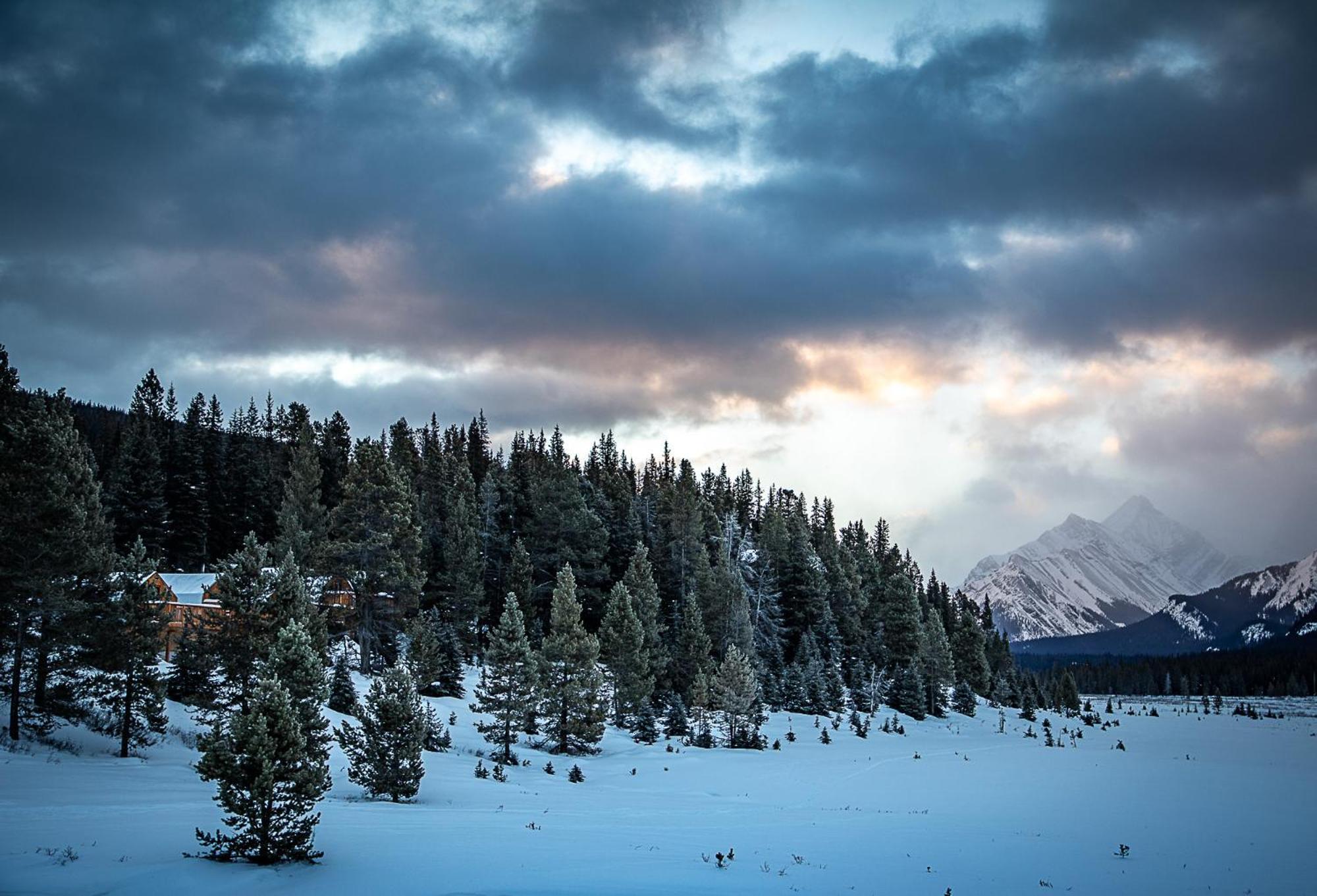 Mount Engadine Lodge Kananaskis Ngoại thất bức ảnh
