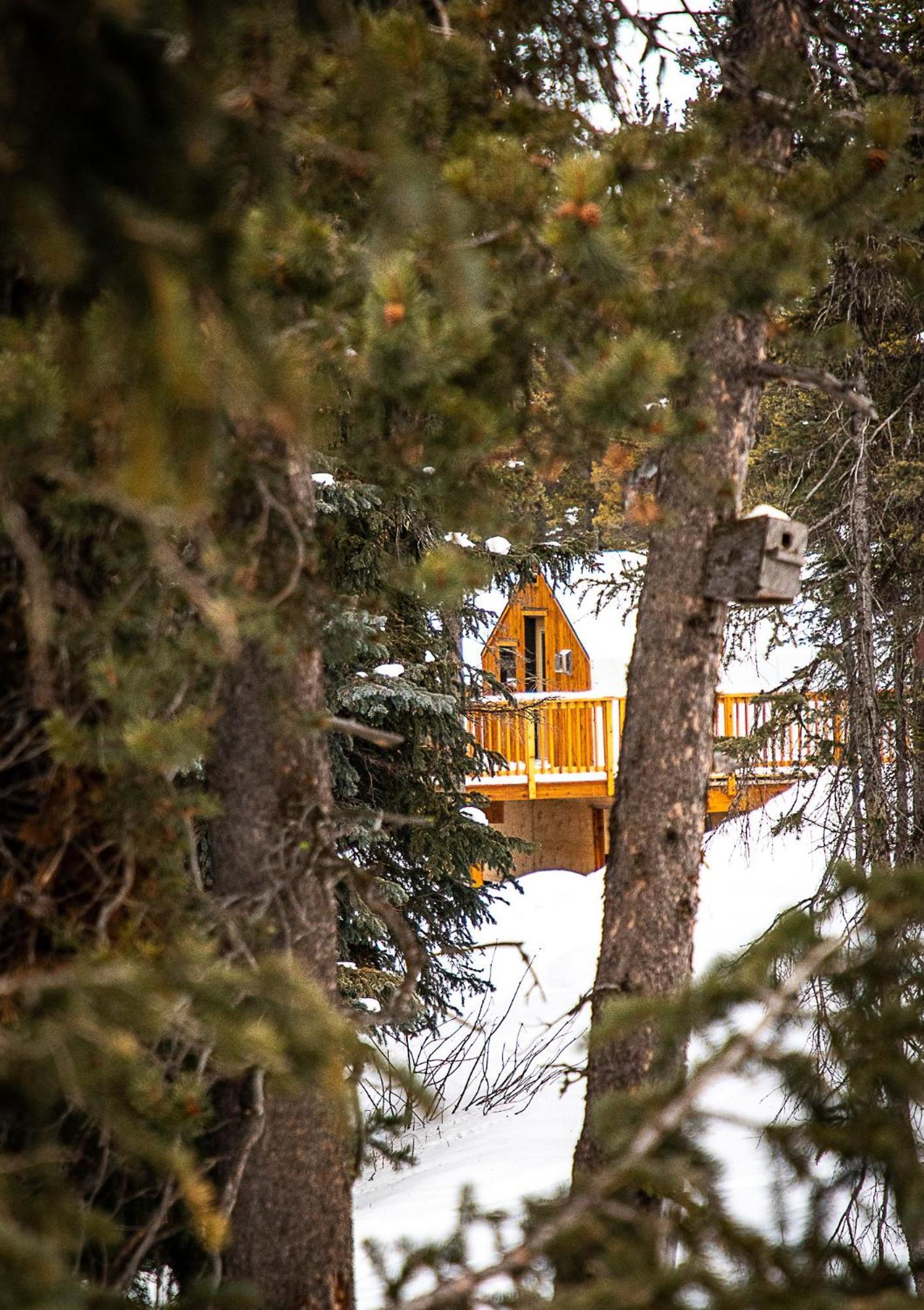 Mount Engadine Lodge Kananaskis Ngoại thất bức ảnh